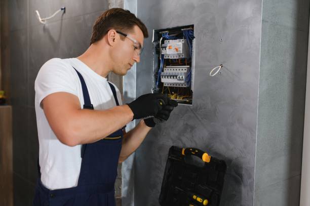 Best Electrical Upgrades for Homes  in Susitna North, AK