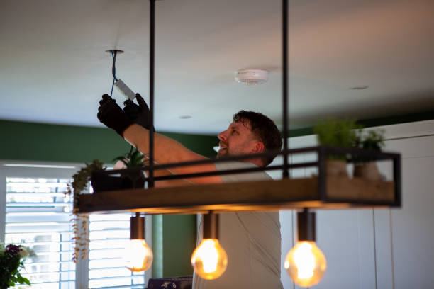 Best Local Electrician Companies  in Susitna North, AK