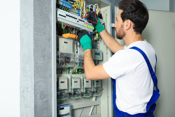 Best Electrical Upgrades for Homes  in Susitna North, AK